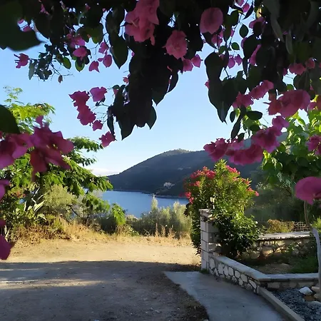 Apartamento Vardia *